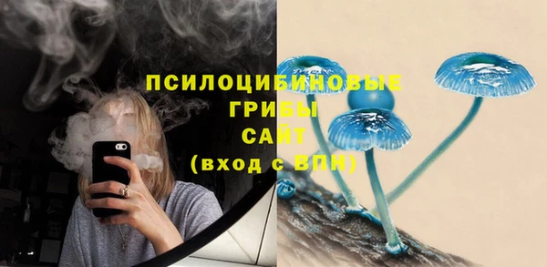 мдпв Бородино