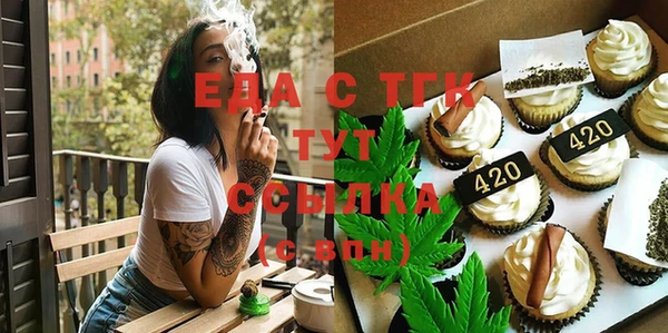 мдпв Бородино