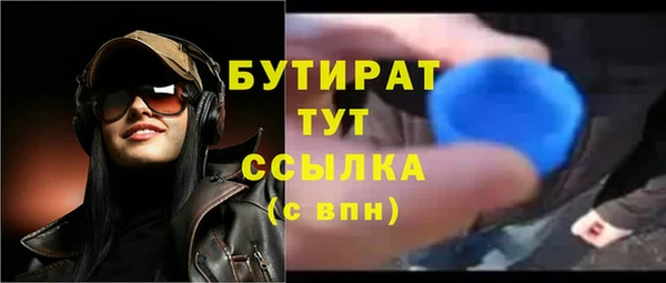 мдпв Бородино