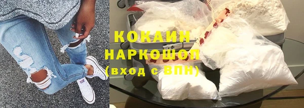 мдпв Бородино