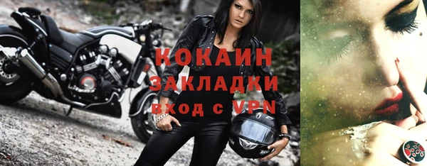 мдпв Бородино