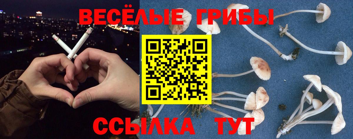 Галлюциногенные грибы мицелий  купить   Псилоцибиновые грибы GOLDEN TEACHER  Сызрань  Вход с VPN 